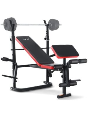 Premium Adjustable Foldable Weight Bench for Full-Body Home Workouts | Pro-Line Direct
